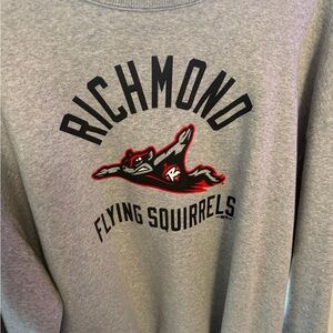 Champion Gray Richmond Flying Squirrels Crewneck Sweater
